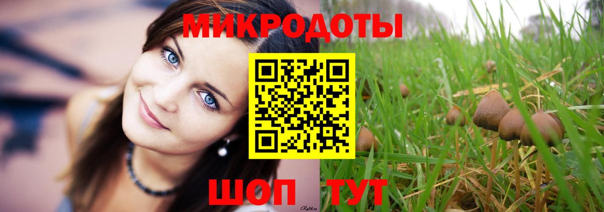 Псилоцибиновые грибы Psilocybe Астрахань